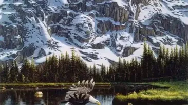 Iluzie optică virală | Găsiți al doilea vultur din această fotografie!