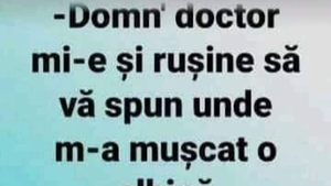 BANCUL ZILEI | "Domn' doctor, mi-e și rușine să vă spun unde m-a mușcat o albină!"