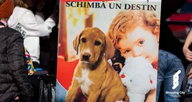 Galerie foto - poza 1