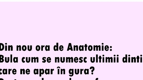 BANC | "Bulă, cum se numesc ultimii dinți care apar în gură?"