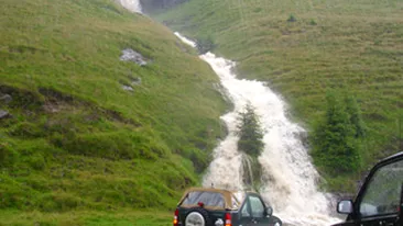 Un tanar a fost luat de o viitura in Masivul Bucegi