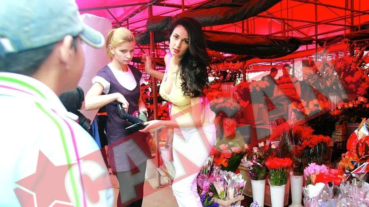 Nicoleta Luciu a facut piata in papuci