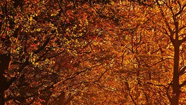 Primavara sau toamna? In week-end se anunta vreme neasteptat de calda! Vezi prognoza meteo pentru urmatoarele zile!