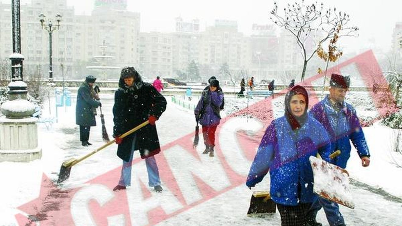 Vin ninsorile si vijeliile!