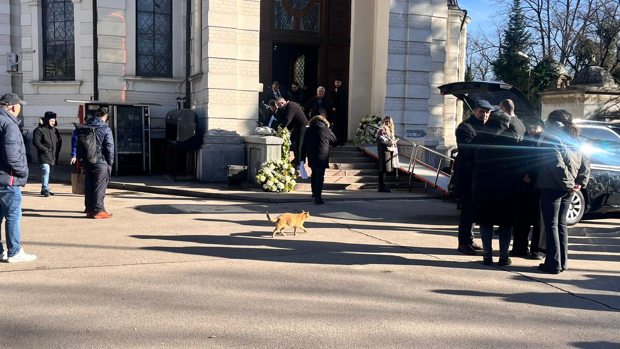 O pisică și-a făcut apariția la înmormântarea tatălui Loredanei Groza. S-a dus „glonț” la dric! Ce simbolizează în tradiția noastră