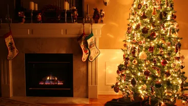 Andra va colinda! Asculati aici versurile pe care artista vi le-a dedicat!