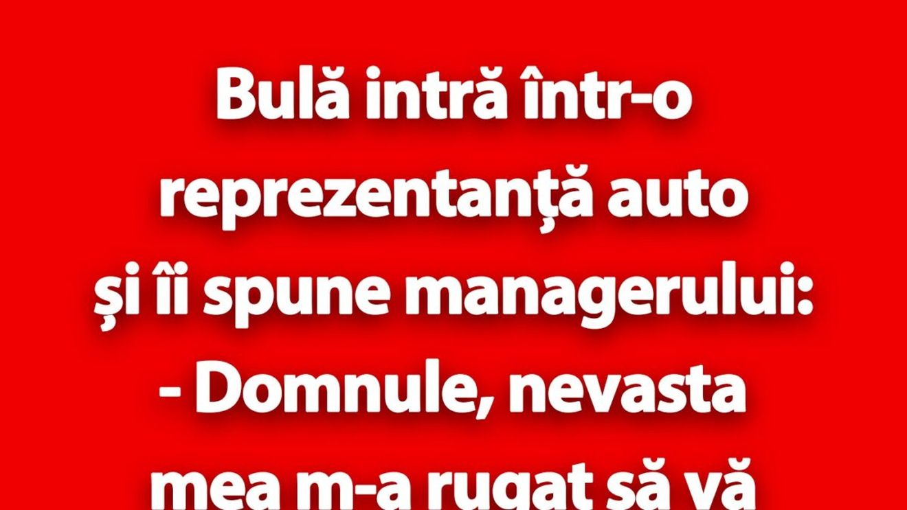 BANC | Bulă intră într-o reprezentanță auto