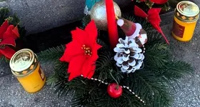 Galerie foto - poza 1