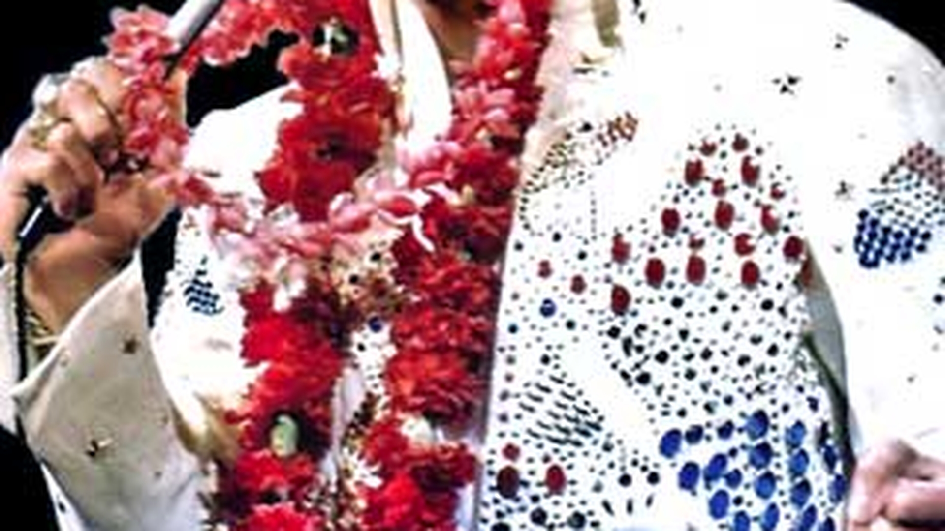Concert dedicat lui Elvis Presley in Parcul National