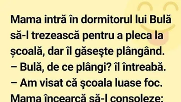 BANC | Mama îl găsește pe Bulă plângând