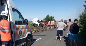 Galerie foto - poza 2