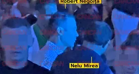 Galerie foto - poza 3