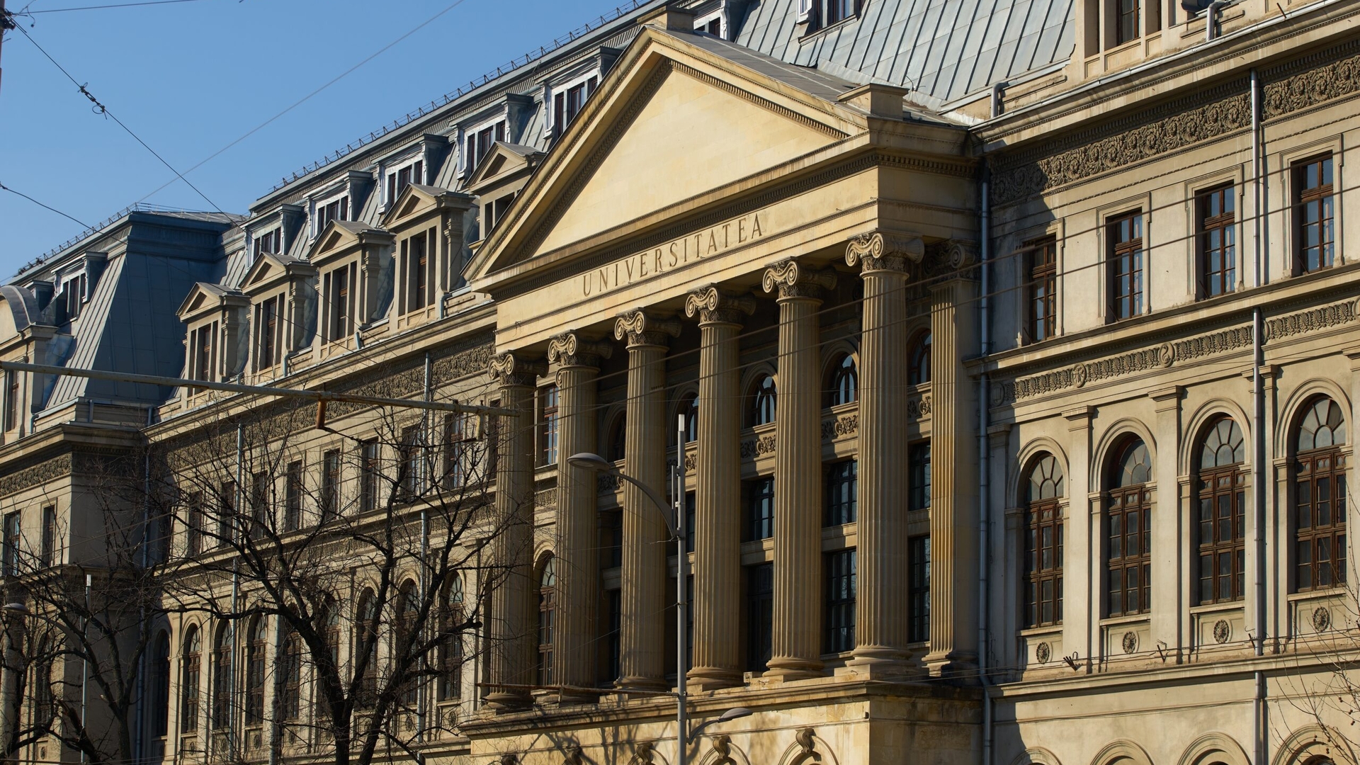 Facultățile care îți pot aduce un salariu peste medie. Domeniile cu viitor până în 2030