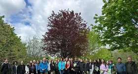 Galerie foto - poza 3