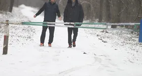 Galerie foto - poza 1