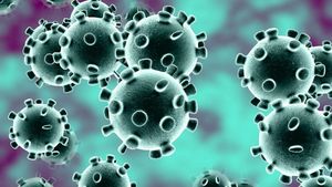 Cum a fost transportată la spital femeia din Timișoara confirmată cu coronavirus