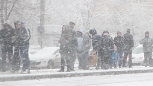 Avertizarea data de meteorologi! Viscol si ger in aproape toata tara!