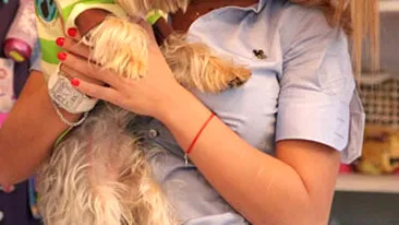 Marina Dina isi da toti banii pe hainutele catelului ei!