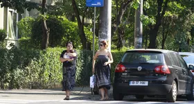 Galerie foto - poza 2