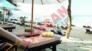 Milionarul Michael Richard, catre Surorile Dinamita: Strangeam mizeria dupa ele