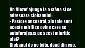 Bancul începutului de săptămână | Un filosof ajunge la o stână și se adresează ciobanului