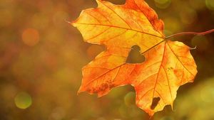 ANM a emis prognoza meteo pentru septembrie. Ce vreme vom avea în prima lună a acestei toamne