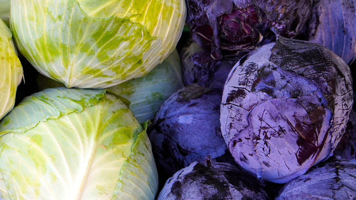 Varza Roșie ajută la slăbit (Sursă: Pixabay)