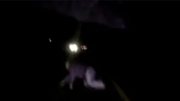 VIDEO Sinucidere filmată din întâmplare! Modul în care un bărbat a ales să-şi pună capăt zilelor i-a şocat pe doi moldoveni