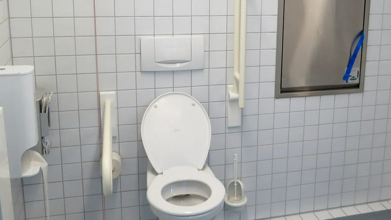 Incredibil! Ce a descoperit un bărbat în vasul de toaletă din propria casă: ”Sunt dăunătoare”