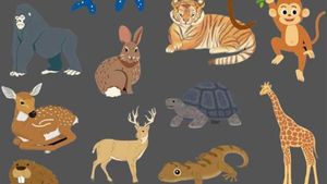 Test de logică exclusiv pentru genii | Care animal este diferit de toate celelalte?