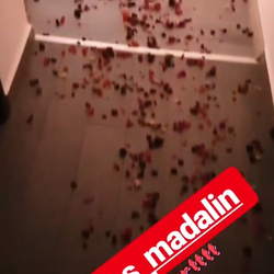 Imagine Galerie #2