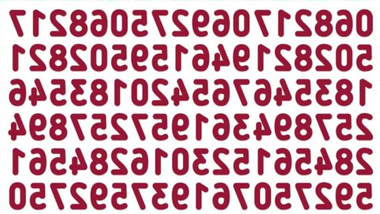 TEST IQ | Doar 1 dintre 10 oameni poate găsi numărul 523 în maximum 15 secunde