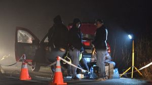 VIDEO / Autostopiştii care au omorât un şofer şi au rănit-o pe soţia sa au fost prinşi! Cine sunt asasinii