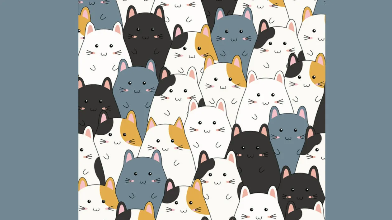 Test de perspicacitate | Găsiți pisica ascunsă printre hamsteri!