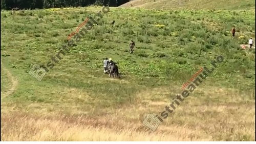 Motociclist din Belgia, rupt cu bătaia de 3 ciobani din satul Colibița. Motivul e de-a dreptul uluitor