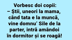 BANCUL ZILEI | Domnu' Sile de la parter