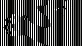 Iluzie optică virală | Numiți animalul care se ascunde în această fotografie