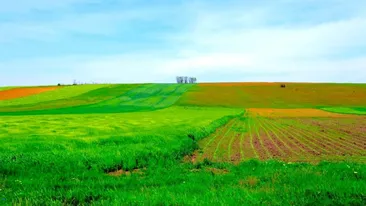 Subvenții APIA 2026. Câți bani primesc românii care lasă terenul pârloagă