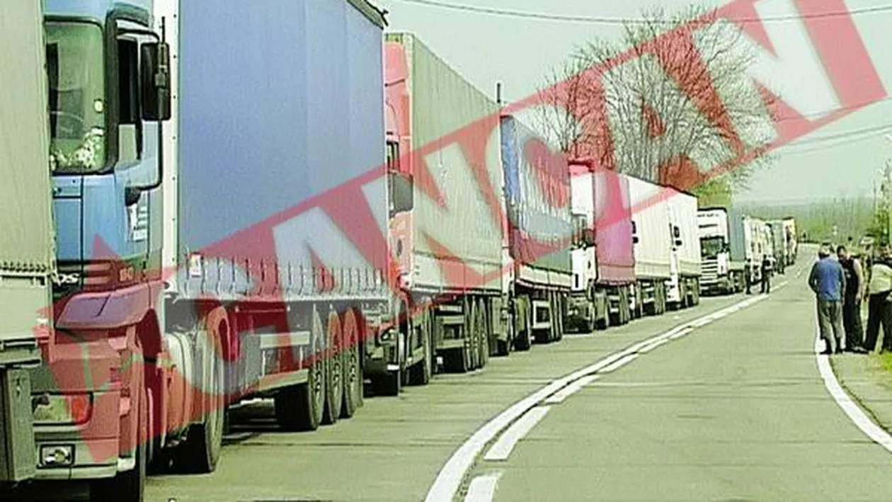 Au ramas cu berea in mijlocul drumului