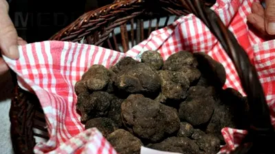 'Aurul negru' din România ajunge în cele mai exclusiviste restaurante din lume