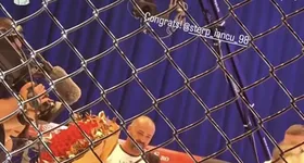 Galerie foto - poza 1