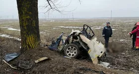 Galerie foto - poza 3