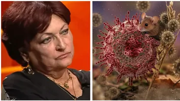 Cât de periculos e Hantavirusul, de fapt. Monica Pop rupe tăcerea: ”Să nu vă bazați pe niciun fel de comunicări decât de la medici specialiști”