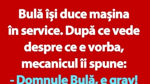 BANC | Bulă își duce mașina în service