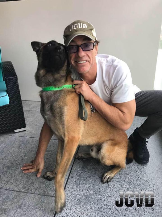 Adevărul despre bătăile pe care celebrul Jean-Claude Van Damme le-a luat în București! Codin Maticiuc l-a dat de gol: “Avea două probleme…“