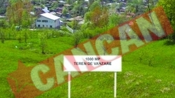 Ce trebuie sa stiti cand cumparati un teren