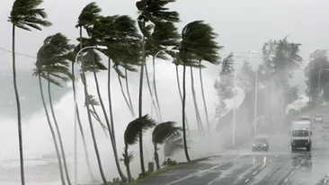 Fenomen devastator! Cel putin sase morti in Mexic, in urma trecerii furtunii tropicale Trudy