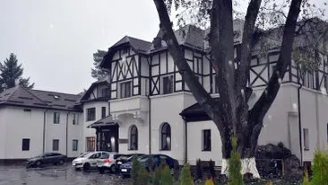 Panică la Spitalul de Psihiatrie Voila din Prahova! Un urs a intrat în curte, după ce a sărit peste un gard de beton