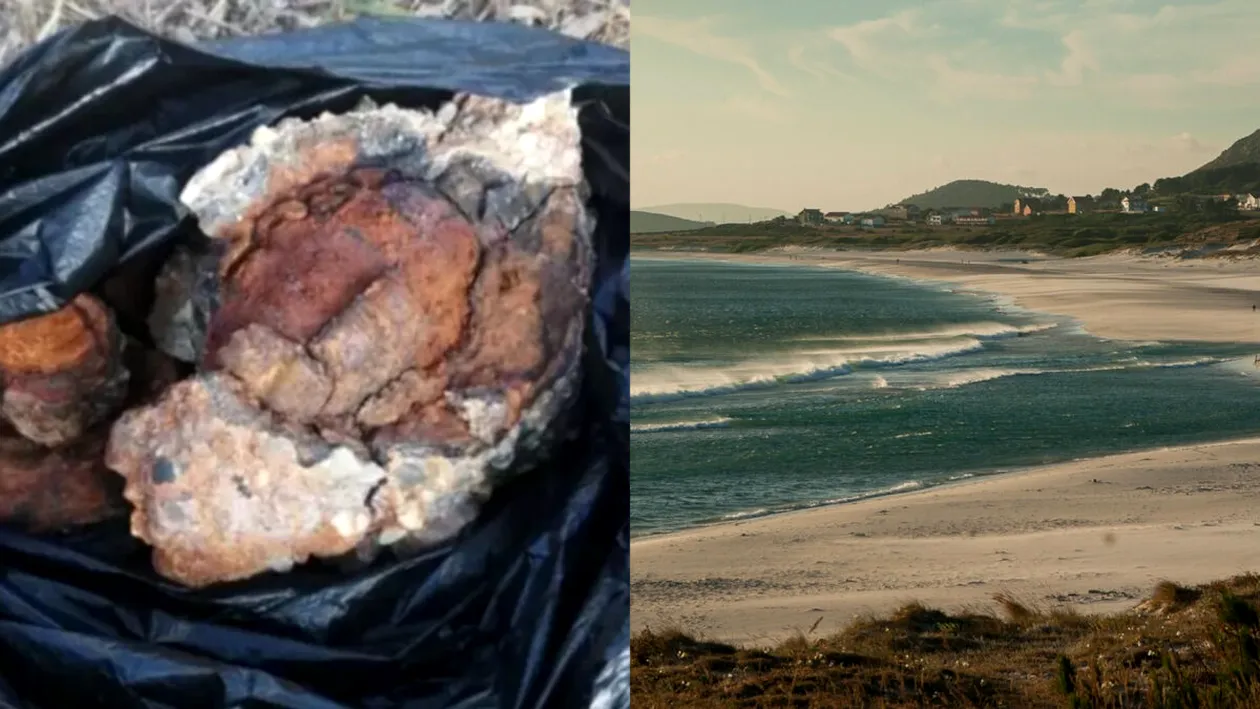 Șoc pentru o familie, după ce fetița lor a adus acasă o piatră de pe plajă. Când și-au dat seama ce era, de fapt, au alertat autoritățile