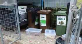 Galerie foto - poza 3